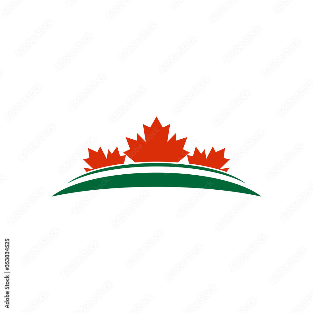 Maple leaf vector illustration