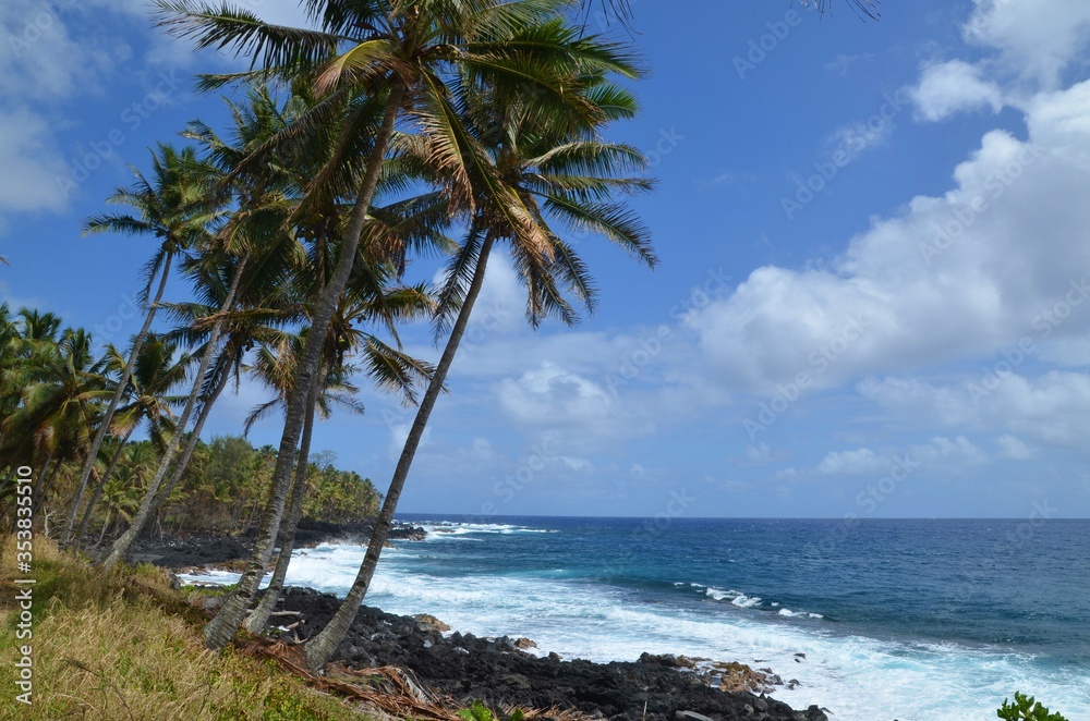 Idyllic remote tropical beach with palm trees at Big Island, Hawaii, USA