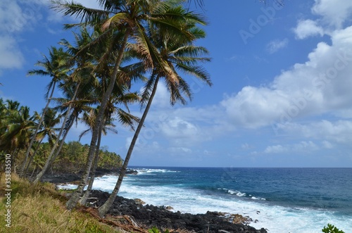 Idyllic remote tropical beach with palm trees at Big Island  Hawaii  USA