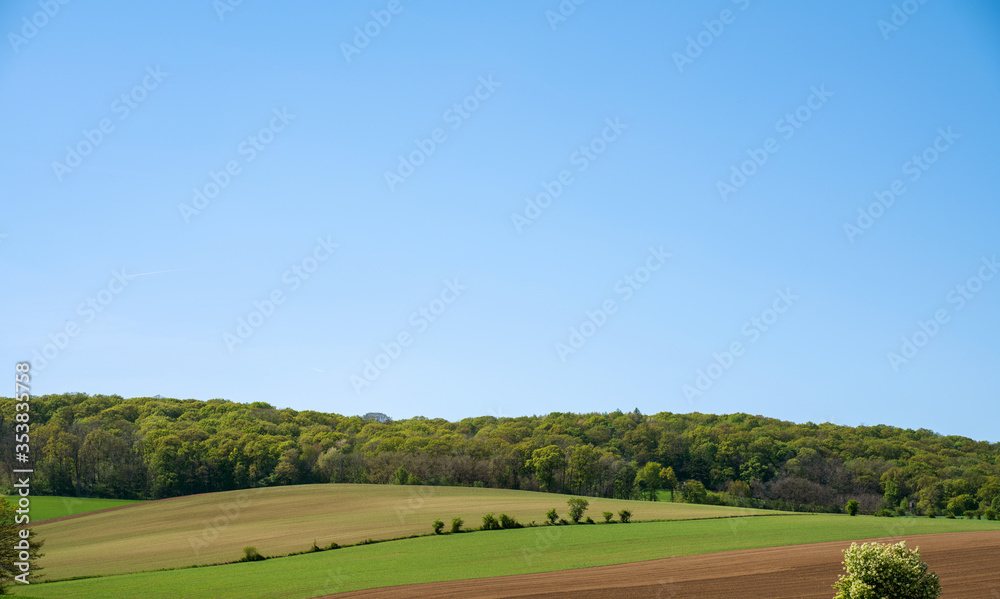 rural landscape with trees rural landscape with trees