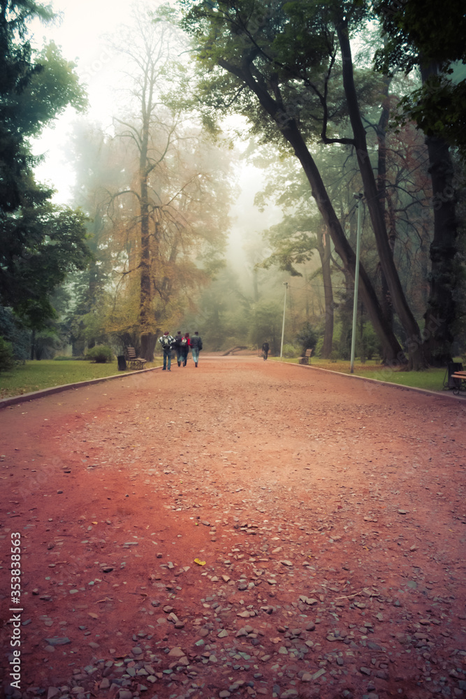 Obraz premium Long tree alley with a footpath disappearing in fog. People walk along the alley and disappear in the fog. Autumn