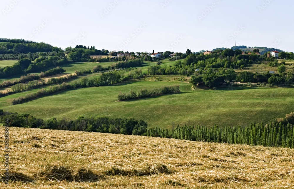 The Marche region, which borders Tuscany, is rich in hilly landscapes with green meadows and agricultural and wheat fields (Italy, Europe)