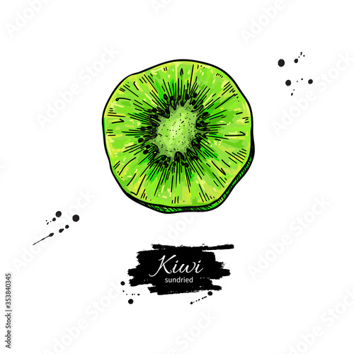 Dried kiwi chips vector drawing. Hand drawn dehydrated fruit ring illustration.