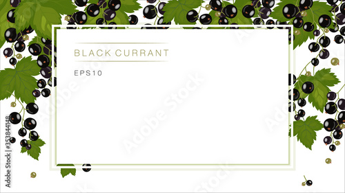 Leaves, branches and berries of black currant background. Frame for the design of cards, invitations and recipes jam