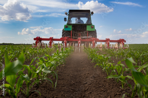 Tractor harrowing corn field