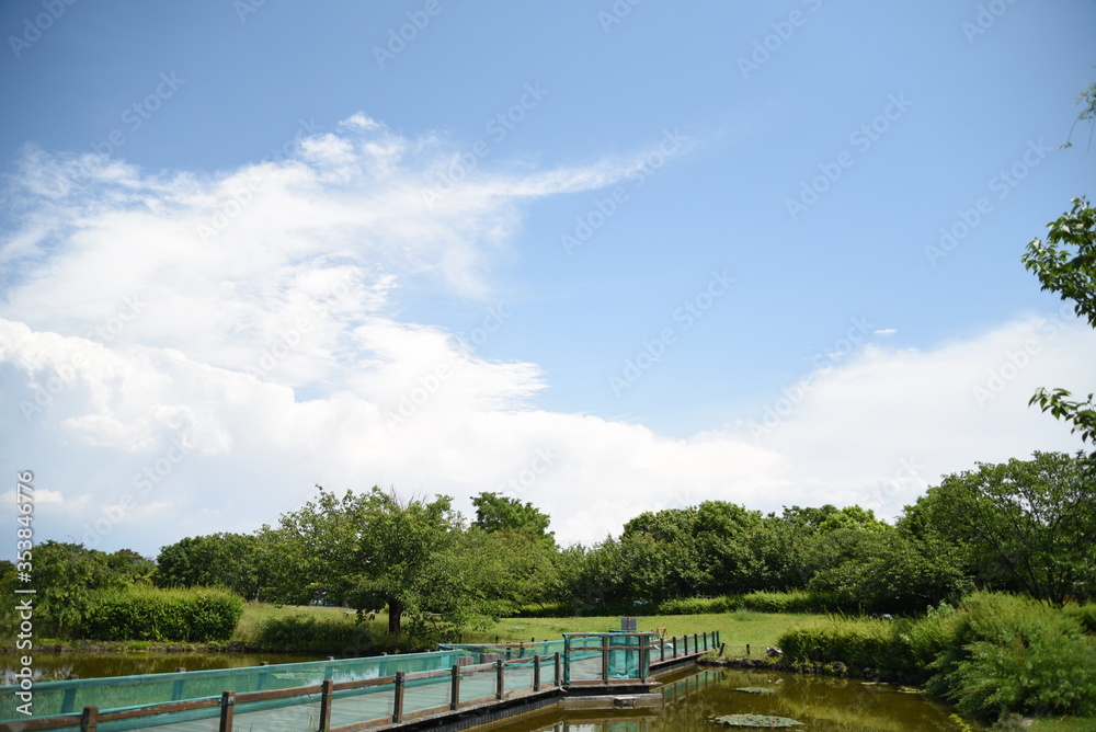 夏の青空