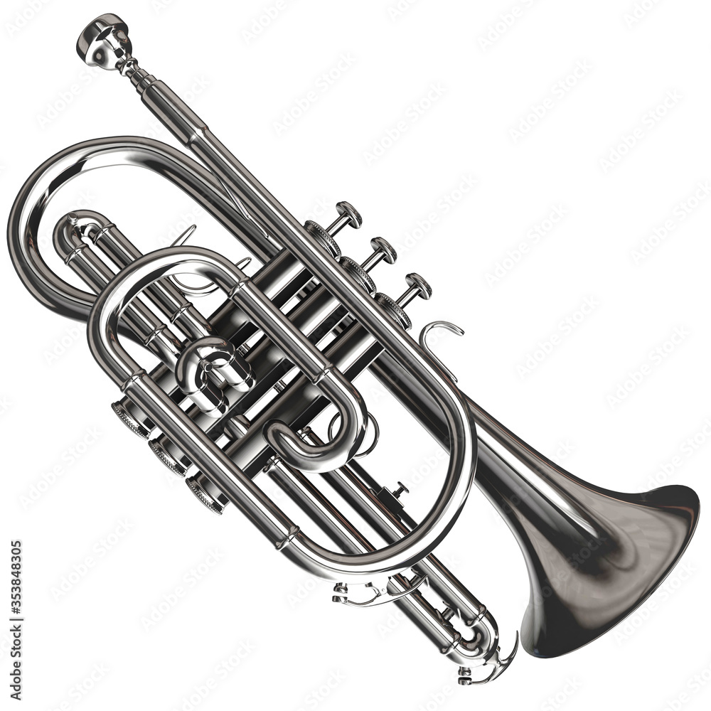 Obraz premium 3d Rendering of a Silver Soprano Cornet