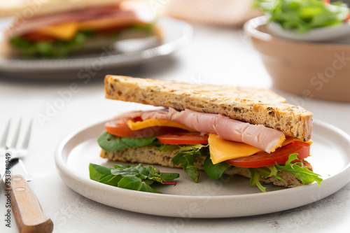 Close up toasted sandwich with ham, vegetables and cheese.