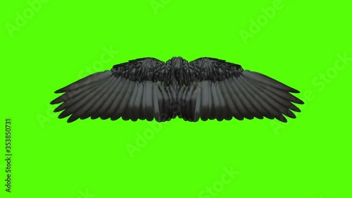 Wings open and close on green screen.