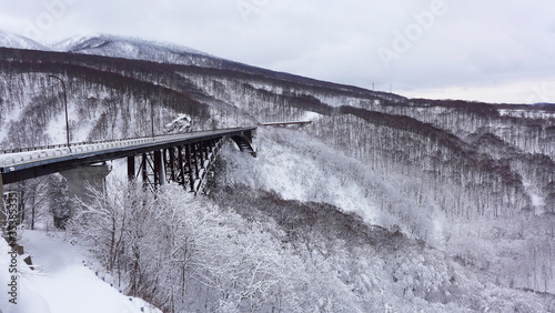 雪で覆われた城ヶ倉大橋（青森県青森市）