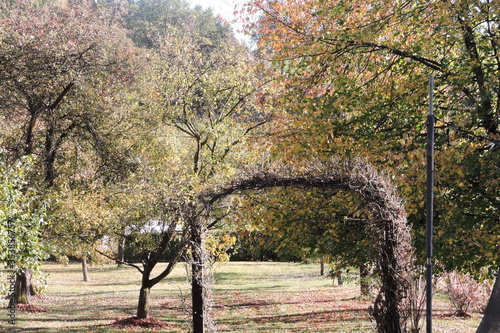Jesienny ogród (arbores autumnales Hortus)