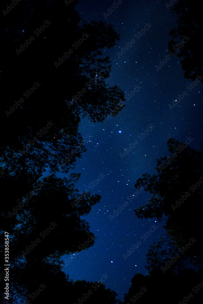 Cielo nocturno y sus estrellas