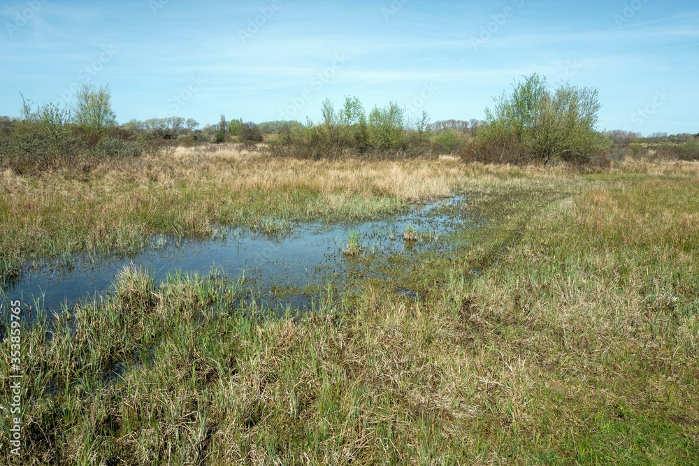 Stream in nature reserve Lentevreugd in Wassenaar, Netherlands.