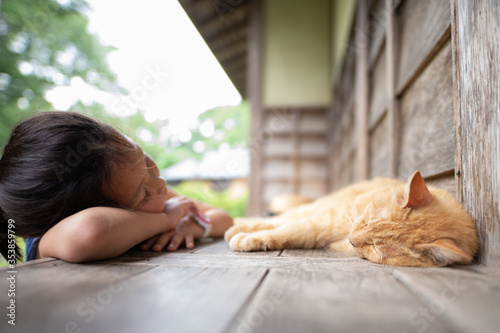 縁側で居眠りをする少女と猫