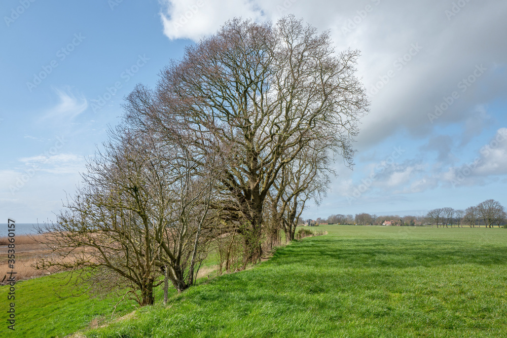 Landscape with trees at the Oudemirdumer Klif in Friesland, the Netherlands. Landscape with trees at the Oudemirdumer Klif in Friesland, the Netherlands.