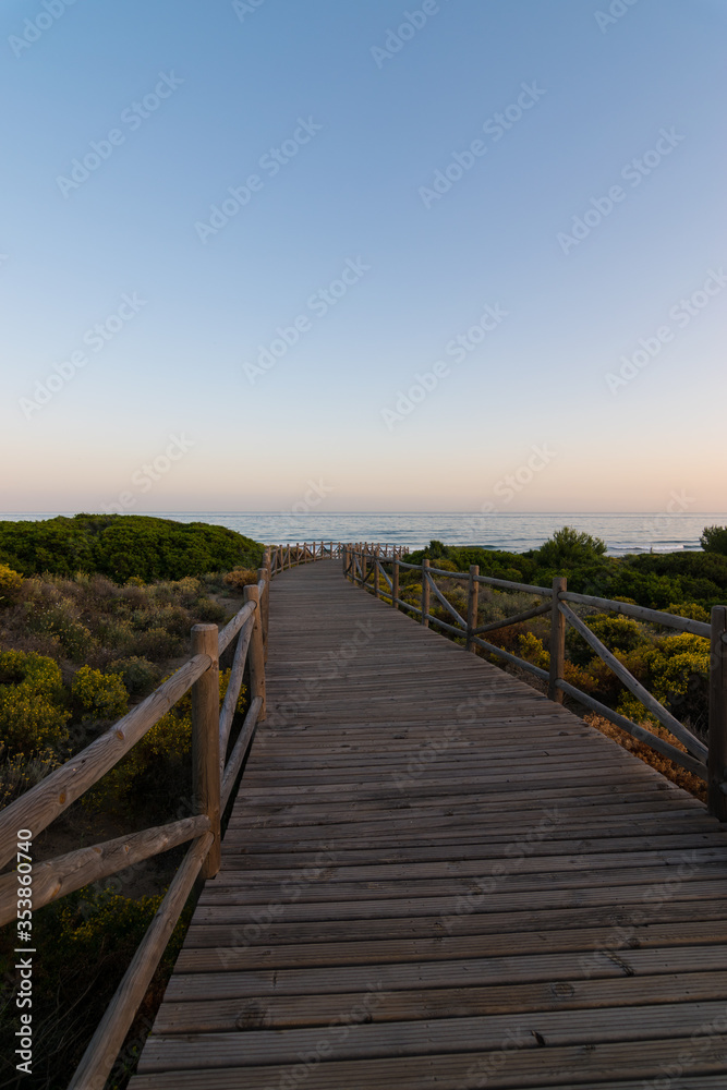 Obraz premium wooden path to the beach
