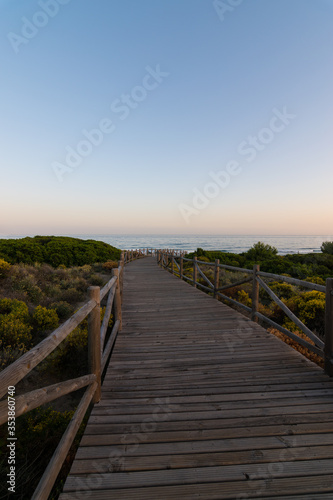 wooden path to the beach