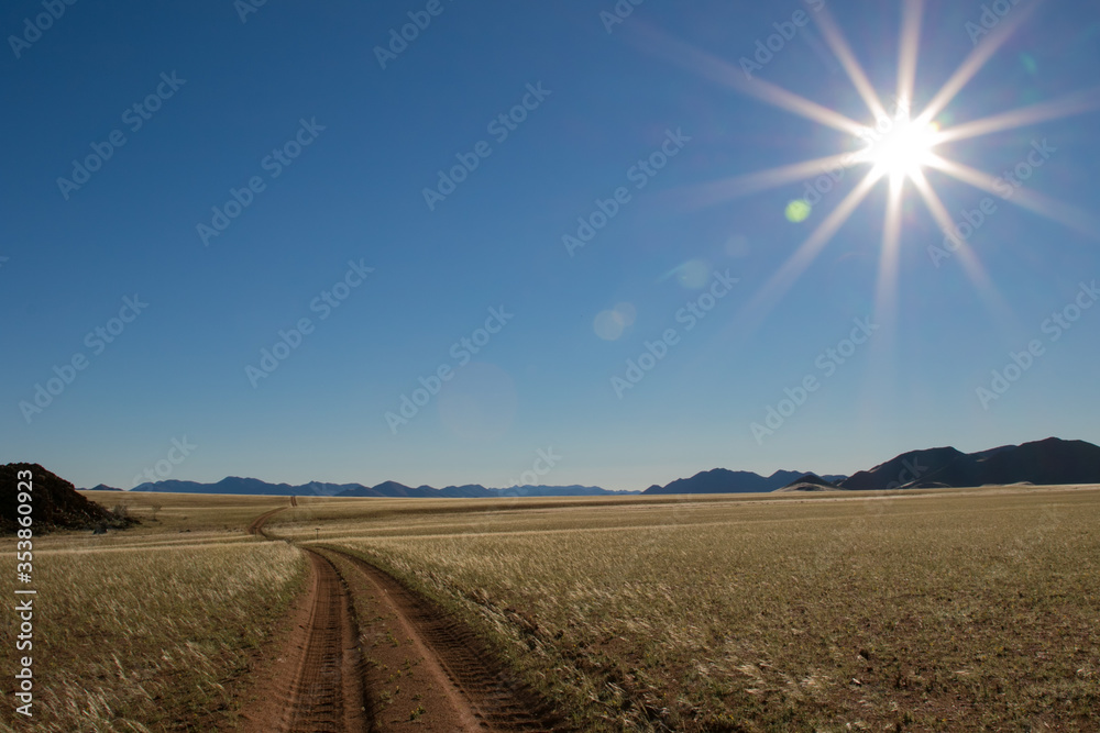Fototapeta premium Grasslands with sunburst and dirt road
