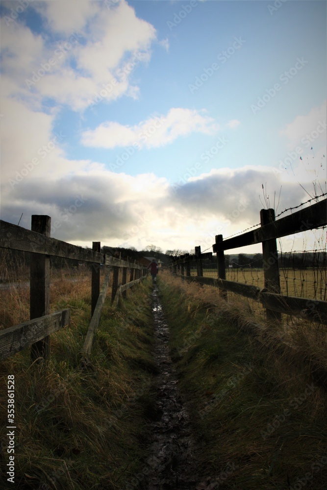 muddy path