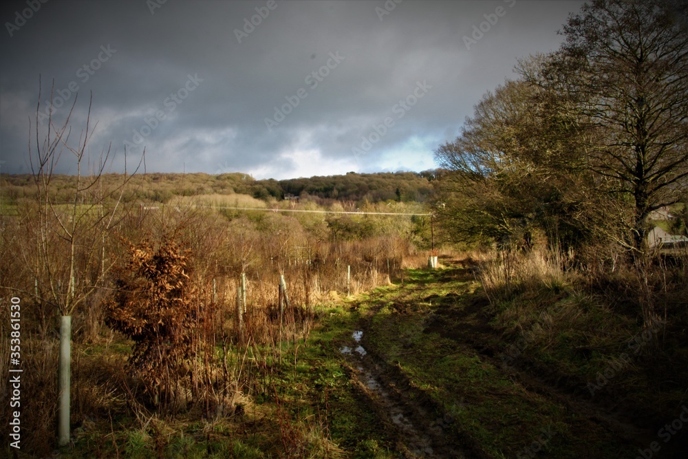 Fototapeta premium muddy track