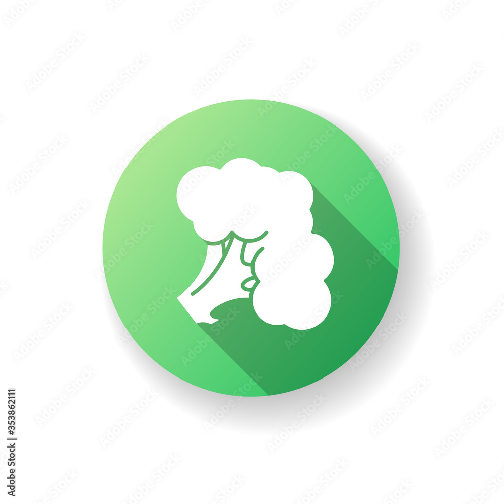 Broccoli green flat design long shadow glyph icon. Fresh vegetable. Whole vitamin veggie. Harvest product from grocery store. Raw vegetable for healthy eating. Silhouette RGB color illustration Broccoli green flat design long shadow glyph icon. Fresh vegetable. Whole vitamin veggie. Harvest product from grocery store. Raw vegetable for healthy eating. Silhouette RGB color illustration