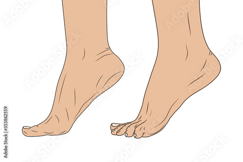 female foot in toe position. EPS10 vector illustration.
