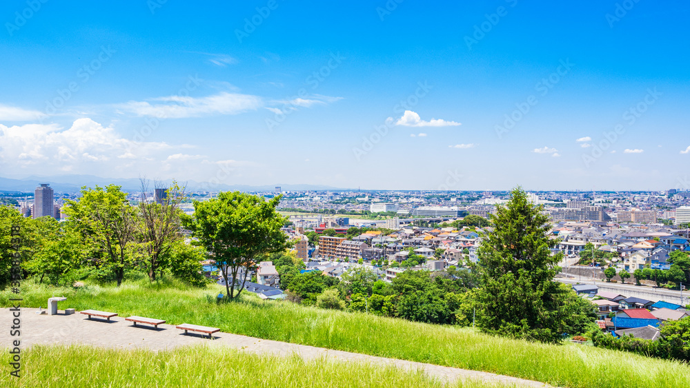 緑の丘から眺める住宅街