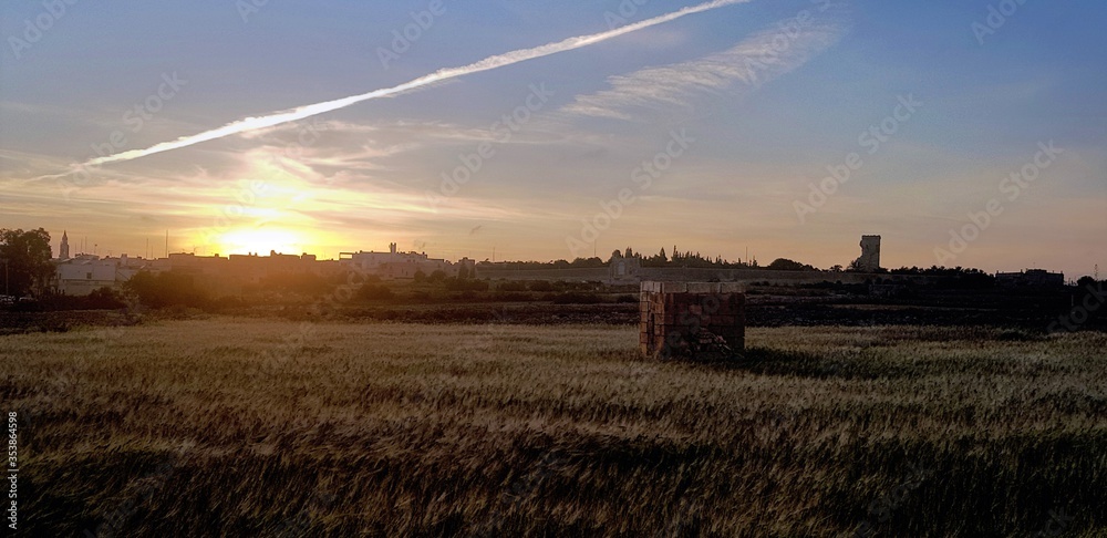 Fototapeta premium sunset over the field