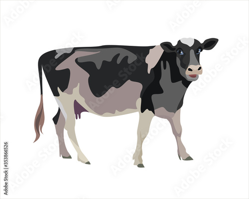 Cow. Black and beige cow. Cute farm animal in cartoon style. Vector illustration isolated on white background.