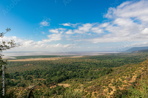 眼下に広がるタンザニアの原風景、広大な森と快晴の青空