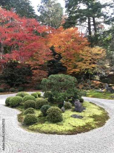 japanese garden in autumn