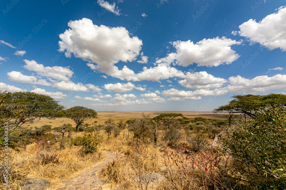 タンザニア・セレンゲティ国立公園入り口の丘の上に広がる風景と、その向こうに見える地平線・青空