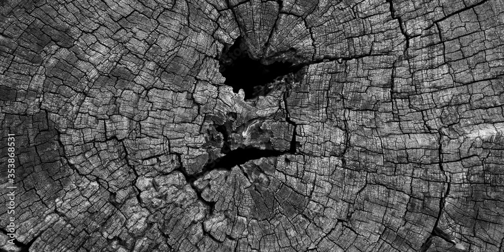 Fototapeta premium Beautiful pattern old wood texture wall background. 