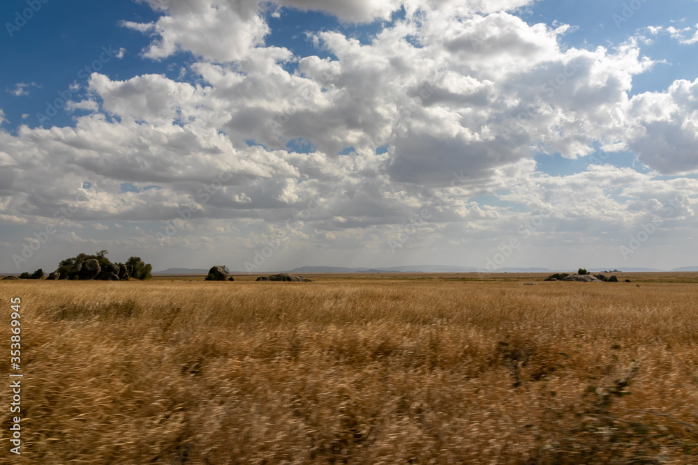 タンザニア・セレンゲティ国立公園の道から眺める、果てしない平原と青空