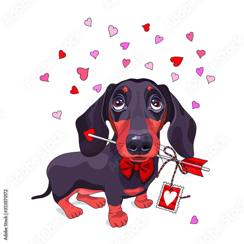 Card of a Valentine's Day. Dachshund Dog in a bow tie and with love arrow. Vector illustration.