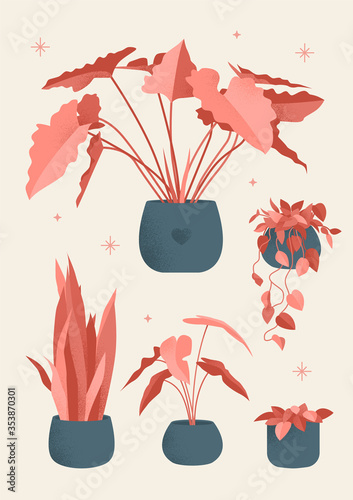 Retro poster with home plants. Creates comfort and decorates the interior. Vector illustration with the addition of noise in vintage style.