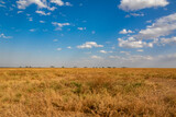 タンザニア・セレンゲティ国立公園の草原と、快晴の青空