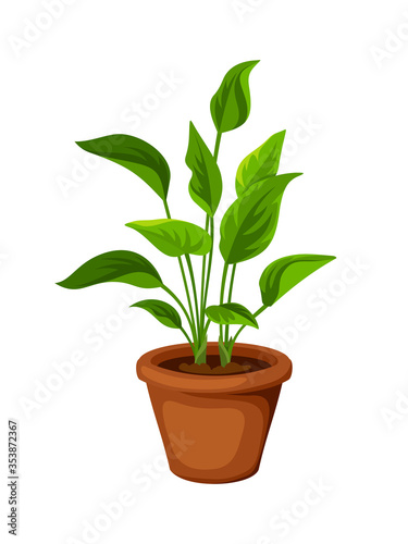 Vector green houseplant in a pot isolated on a white background.