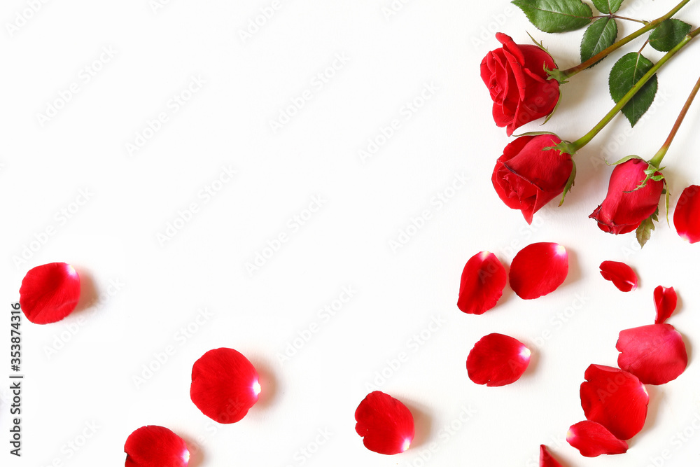Red roses and rose petals at the corner of white background