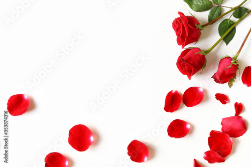 Red roses and rose petals at the corner of white background