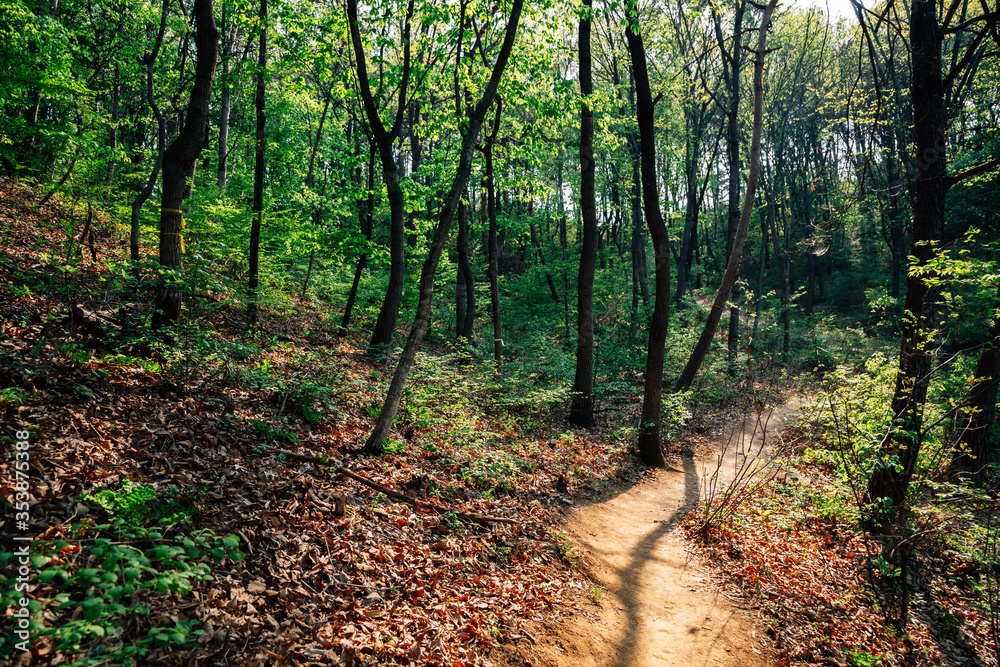 Geumgwang Lake mountain hiking trail road in Anseong, Korea