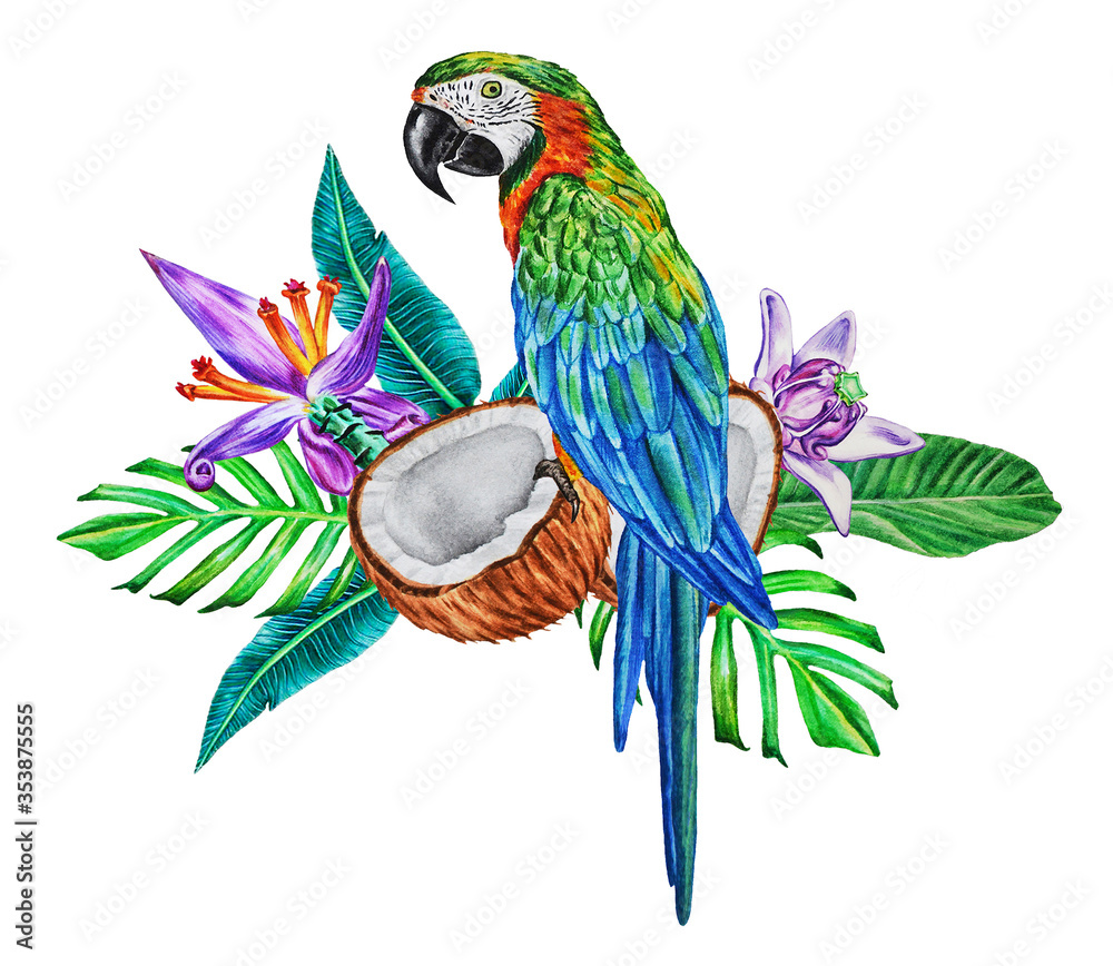 Fototapeta premium A bright macaw parrot sits on a botanical bouquet of tropical leaves, flowers and halves of coconut. Watercolor illustration. Hand drawn.