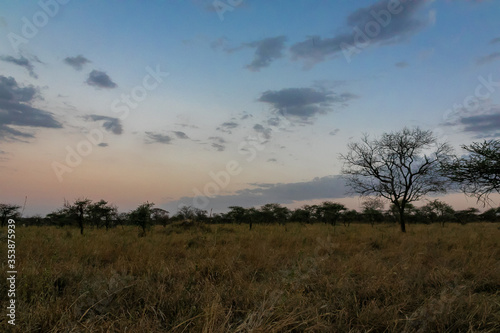 タンザニア・セレンゲティ国立公園のキャンプ場で見た夕方の空