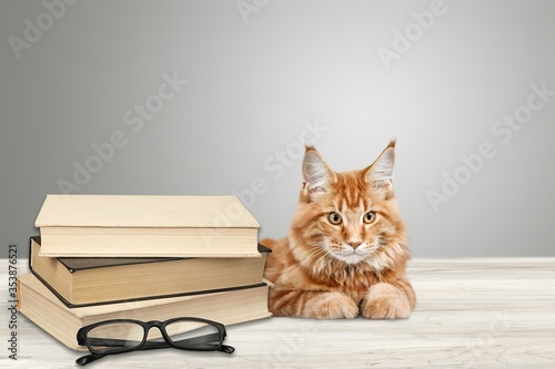 Wallpaper Mural Animal. Torontodigital.ca