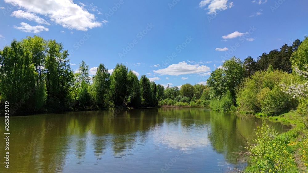 trees on the lake against a blue sky with clouds and their reflection in the water in a wonderful landscape