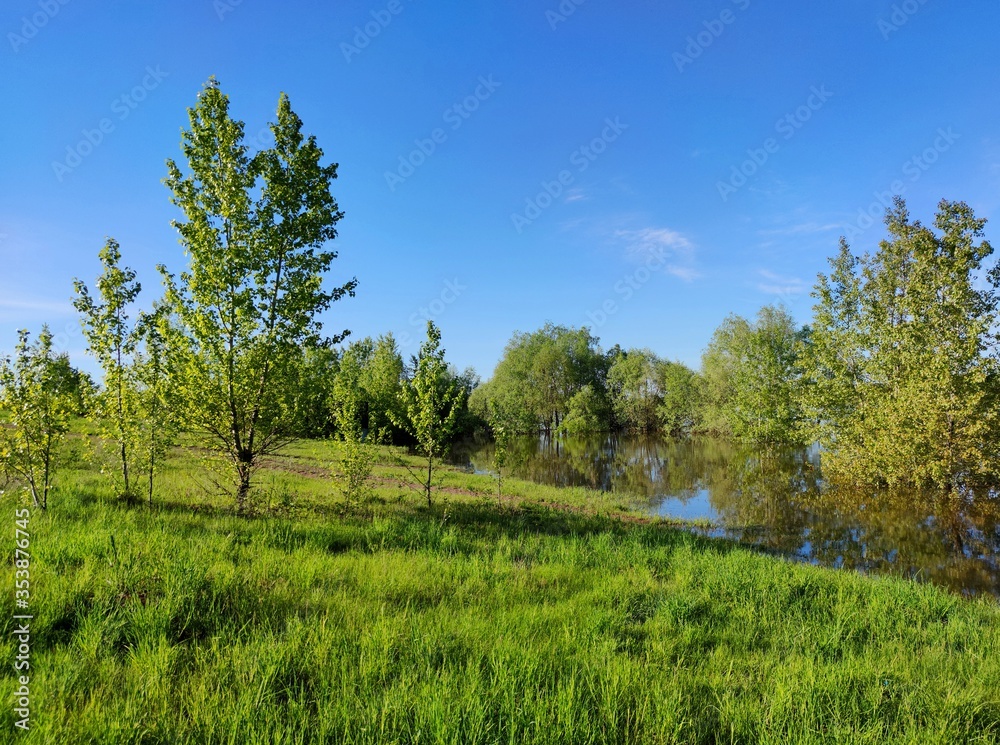 flooded riverbank with green grass and trees against the blue sky on a sunny day flooded riverbank with green grass and trees against the blue sky on a sunny day