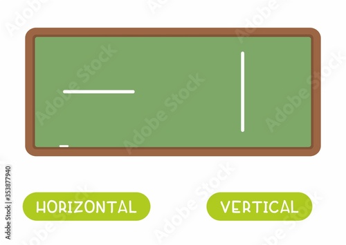 Opposites concept, HORIZONTAL and VERTICAL. Word card for language learning. On the chalkboard is vertical line and horizontal line. Flashcard with antonyms for children vector template. 