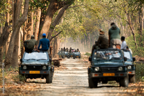 JIM CORBETT, INDIA-MAY 11: Tourist on Safari jeeps waiting for tiger sighting in the dense sal forest of Jim Corbett National Park, India on May 11, 2018 photo