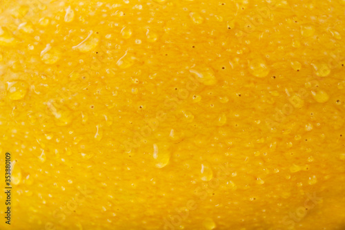 Fresh Yellow mango skin with water drop background, Mango juice and textured concept.