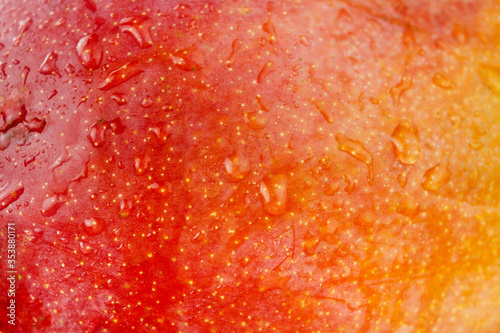 Mango fruit skin of red, orange and yellow color with water drop background, refresh drink of fruit juice and textured concept.
